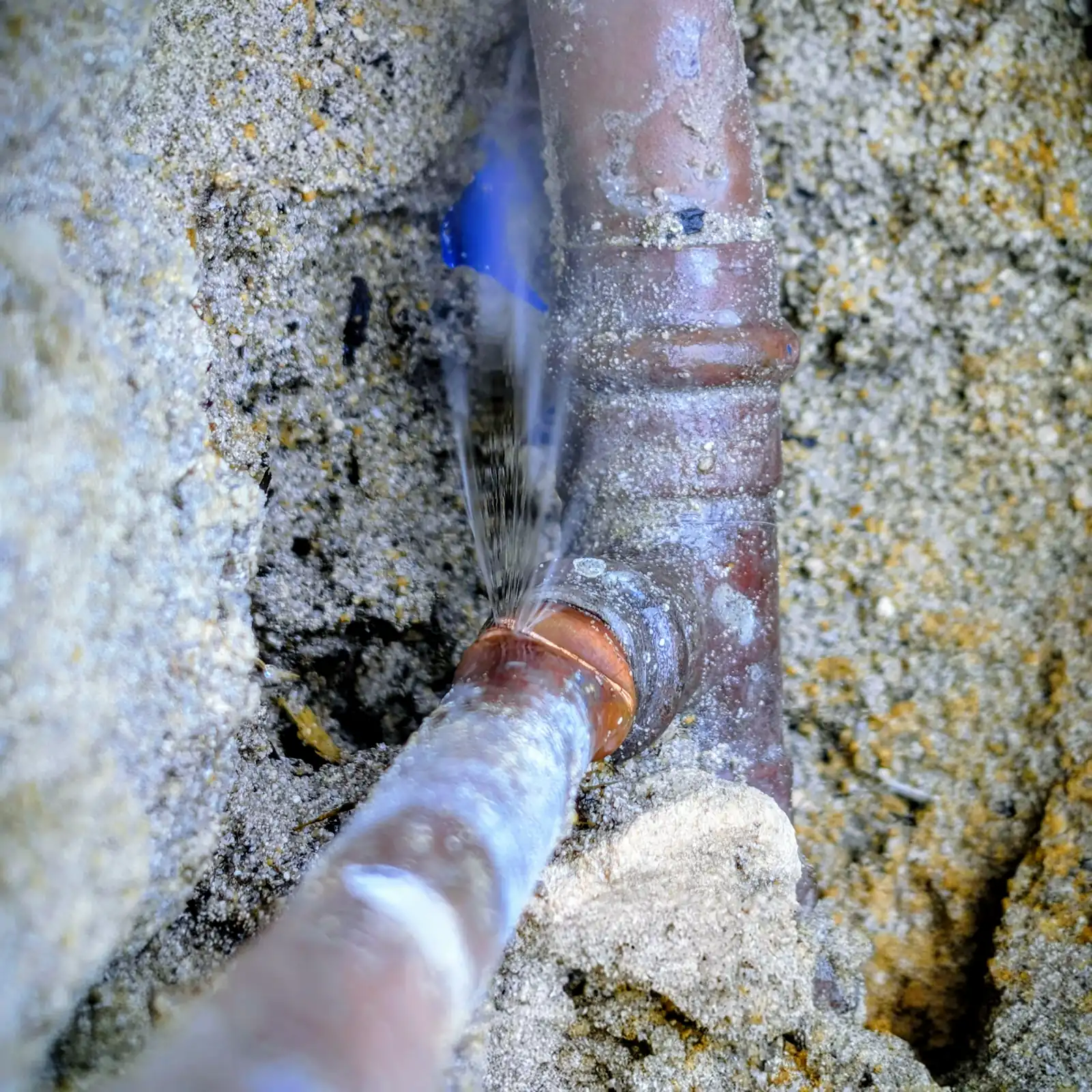 Licensed gas fitting, certified every time